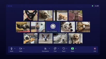 The Dogs of OneSignal: Our Remote-First Office Companions